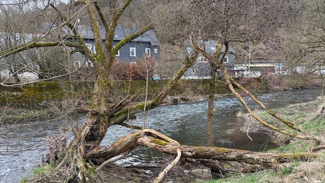 Bei Kindergarten in Siegen: In die Sieg gefallen: Dreijähriger in kritischem Zustand