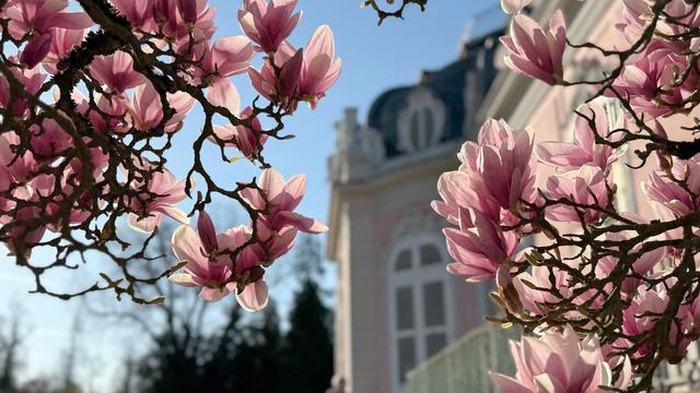 Wetteraussichten: Frühlingswetter in Nordrhein-Westfalen
