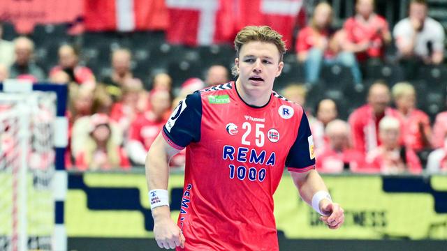Handball-Bundesliga: HSV Hamburg holt norwegischen Kreisläufer Martin Hovde
