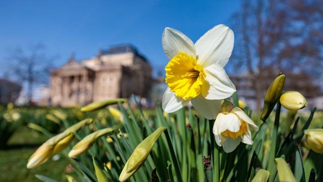 Wetteraussichten: Sonne scheint über Hessen