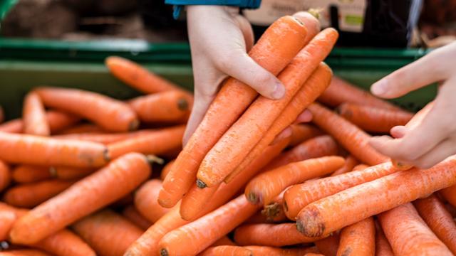 Agrar: Mehr Möhren aus Sachsen-Anhalt