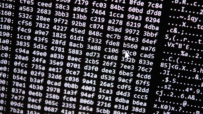  Neue Tools ermöglichten einen Schlag gegen ein Betrugs-Netzwerk im Darknet. (Symbolbild)