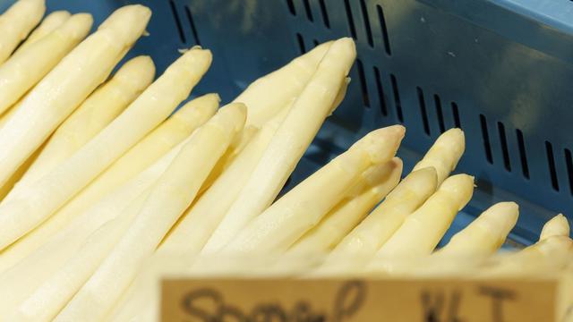 Optimale Wetterbedingungen: Spargelbauern stehen in den Startlöchern