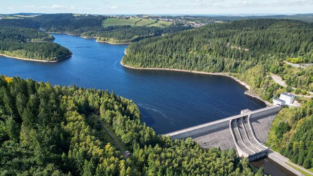Tag des Waldes: Forstminister: Gesunde Wälder sichern Jobs und Klimaschutz