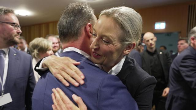 AfD erreicht bei Rheinland-Pfalz-Wahl Bestresultat in Westdeutschland