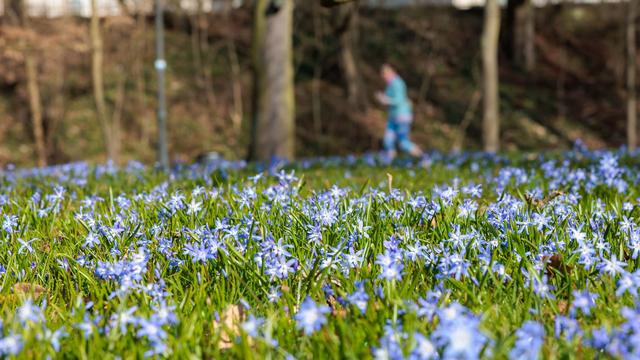 Wetter: Sonniger Sonntag und milder Wochenstart in Hessen