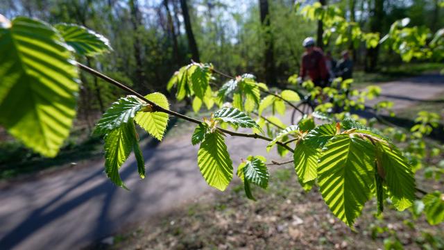 Wetter in NRW: Woche startet sonnig und mild - Umschwung am Mittwoch
