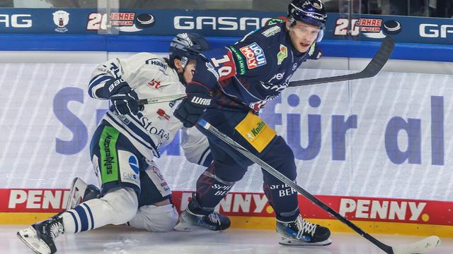 Deutsche Eishockey Liga: Eisbären vor Playoff-Start: 