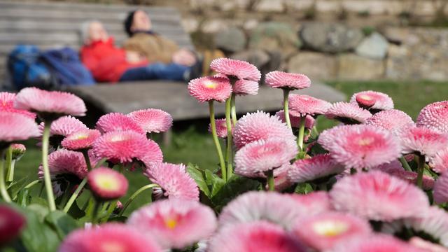 Wetter: Frühlingshafter Wochenstart - hier braucht es keine Jacke