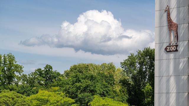 Hochansteckende Krankheit: Keine weiteren Fälle der Newcastle-Krankheit im Zoo