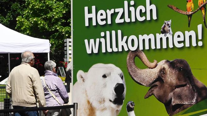 Tiere: Der Karlsruher Zoo wirbt unter anderem mit den Eisbären. (Archivbild)