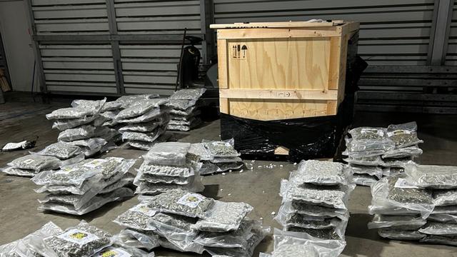 Drogenkriminalität: 1,2 Tonnen Marihuana in Container voller Bürostühle gefunden