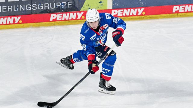 Deutsche Eishockey Liga: Adler wollen die Sehnsucht stillen: Erster Titel seit 2019?