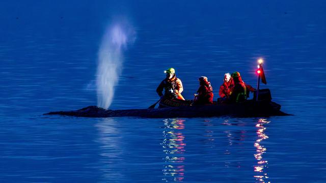 Fotografie: Bilder des Tages