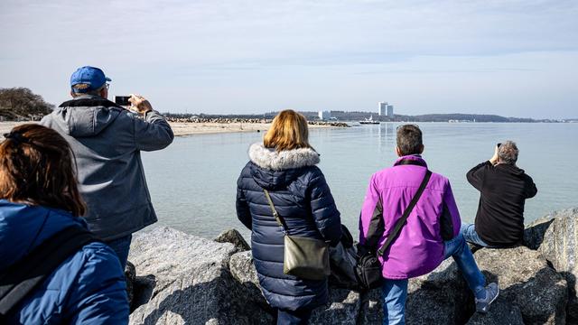 Notfälle: Bürgermeister kritisiert Wal-Tourismus an der Ostsee