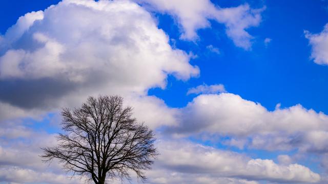 Wettervorhersage: Erst sonnig, dann stürmisch und nass