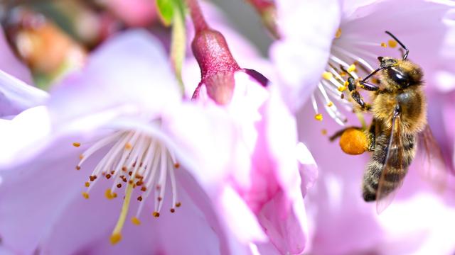 Wetter in Bayern: Sonne, Wolken, Regen - Schnee: Aprilwetter pur
