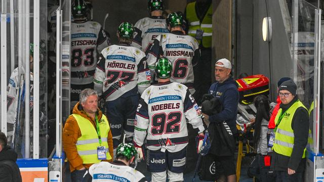 Deutsche Eishockey Liga: Eisbären-Profi Ronning: 