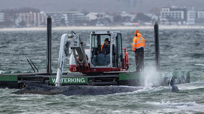 Langwierige Rettungsversuche: Am Donnerstagabend bewegt sich der Buckelwal ein Stück weiter.