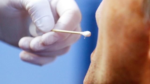 Ermittlungsverfahren: DNA-Reihenuntersuchung nach Tötungsdelikt vor zwei Jahren