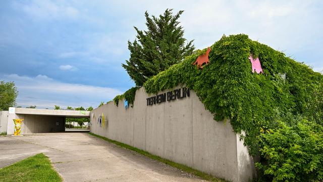 Tiere: Nach Fund toter Graugans: Entwarnung im Tierheim Berlin
