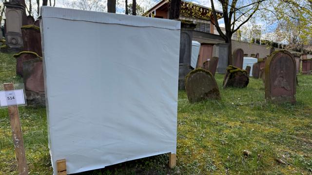 Welterbe Schum-Stätten: Sanierung unter Hauben auf Altem Jüdischen Friedhof in Mainz