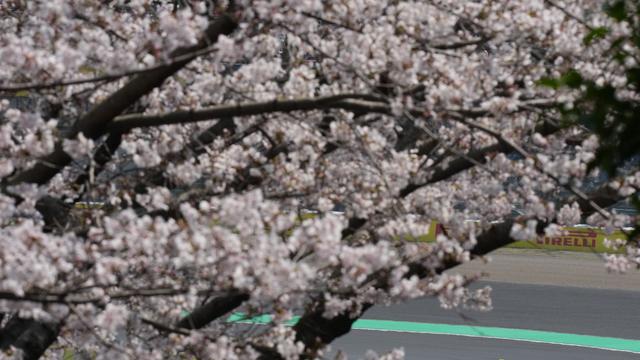 Fotografie: Bilder des Tages