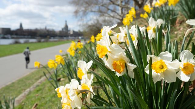 Wetter: Wechselhafter Samstag: Erst Sonne, dann Schnee