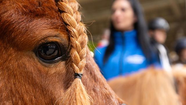 Freizeit: 26.000 Besucher bei Messe 