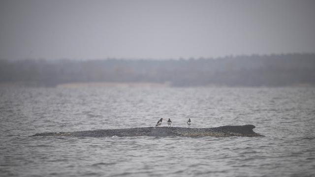 Fotografie: Bilder des Tages