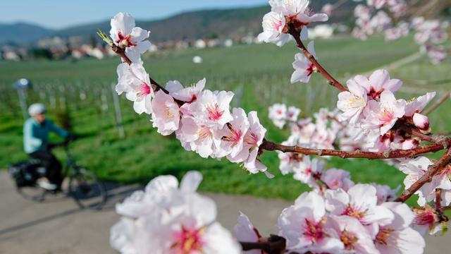 Wetterbilanz: Wetterdienst: März mit viel Sonnenschein und Frühlingswärme