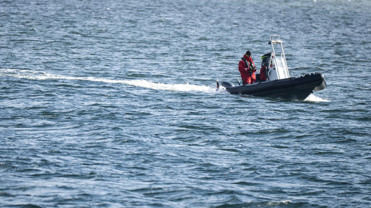 Tiere: Buckelwal vor Ostseeküste ist abgetaucht