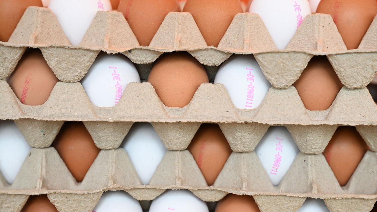 Ostereier: Hat Rheinland-Pfalz genügend Eier zu Ostern?