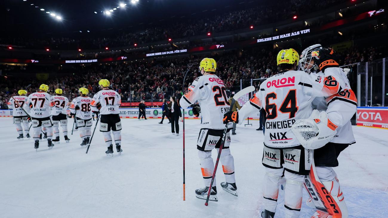 Eishockey: Löwen Frankfurt: Neue Nummer eins im Tor verpflichtet