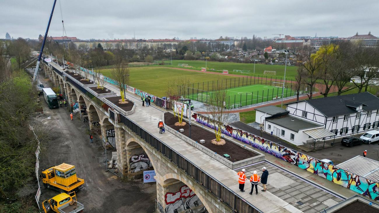 Freizeit: 50 Bäume für alten Eisenbahnviadukt in Leipzig
