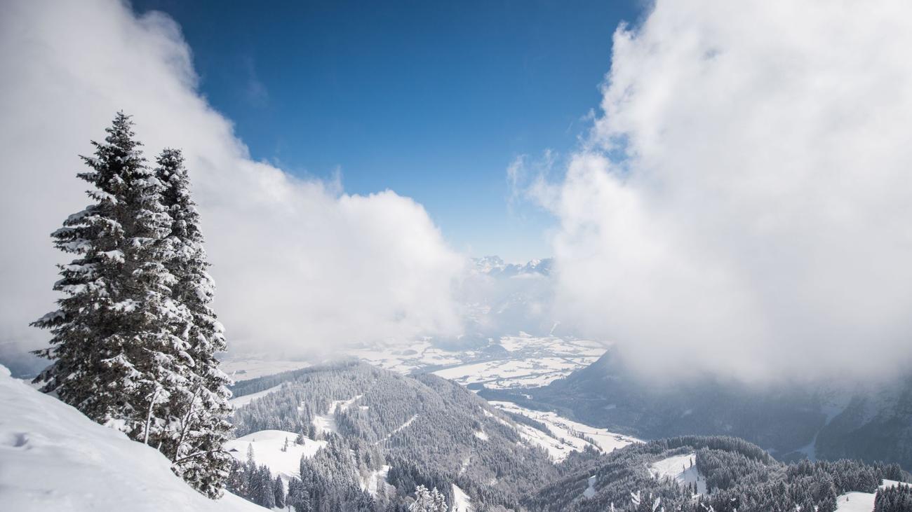 Bergrettung: Drei Stunden Einsatz – Hund nach Absturz im Schnee gerettet