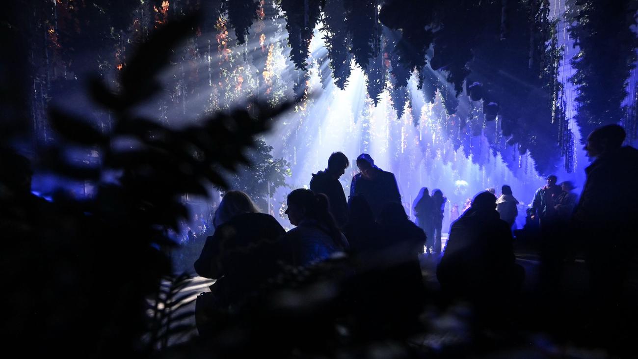 Ausstellung: "Forest Seasons": Neue Lichtinstallation im Berliner Osten