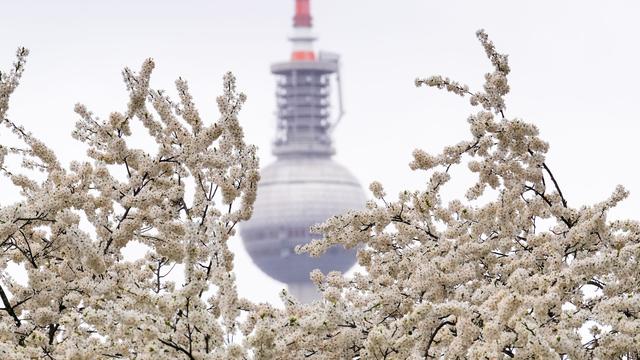 Wetter vor Ostern: Frostige Nächte und Wechselwetter in Berlin und Brandenburg