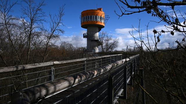 Bild: Nationalpark: Knospen sprießen - Saisonbeginn auf dem Baumkronenpfad