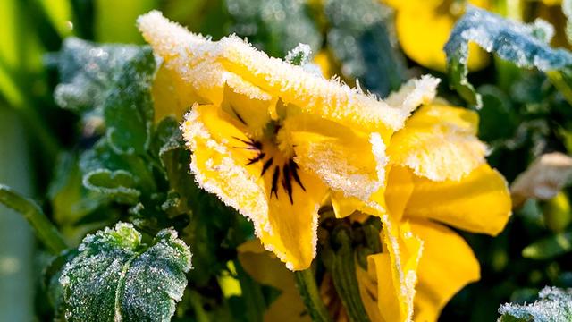 DWD-Vorhersage: Tagsüber heiter und nachts frostig in Nordrhein-Westfalen