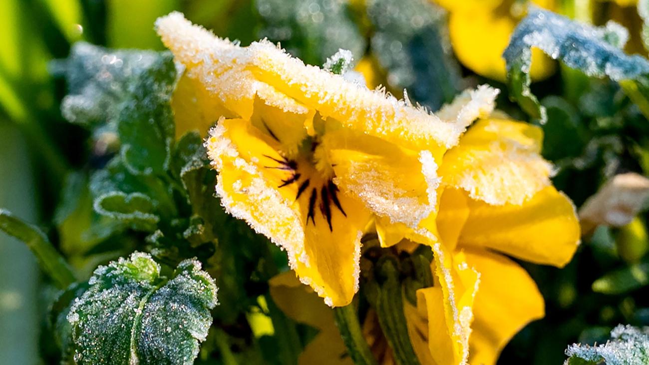 DWD-Vorhersage: Tagsüber heiter und nachts frostig in Nordrhein-Westfalen