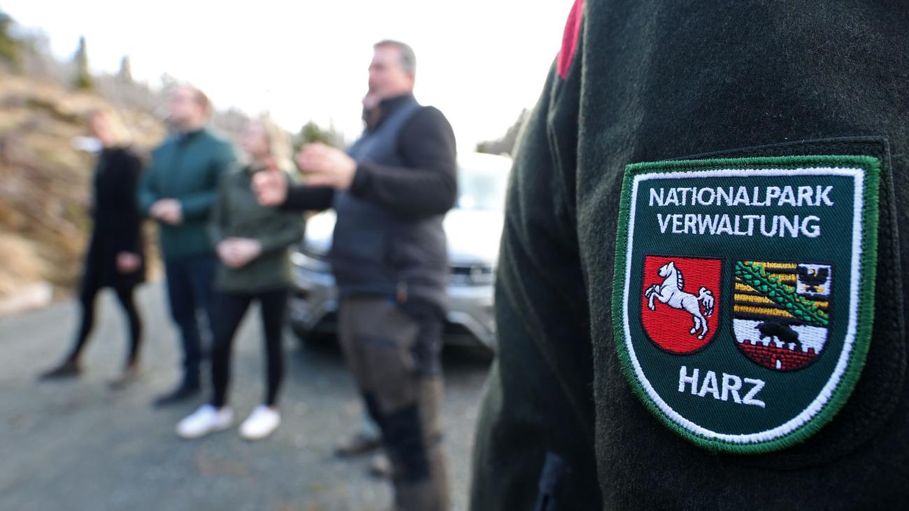 Katstrophenschutz: Waldbrandsaison im Oberharz gestartet – Schutzkonzept steht