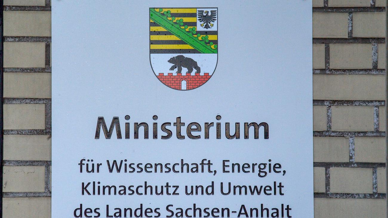 Sachsen-Anhalt: Zu wenig Chefinnen? Linke pocht auf Frauenquote