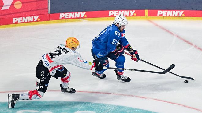 Eishockey: Die Fischtown Pinguins aus Bremerhaven lieferten bei den Adler Mannheim einen harten Fight.