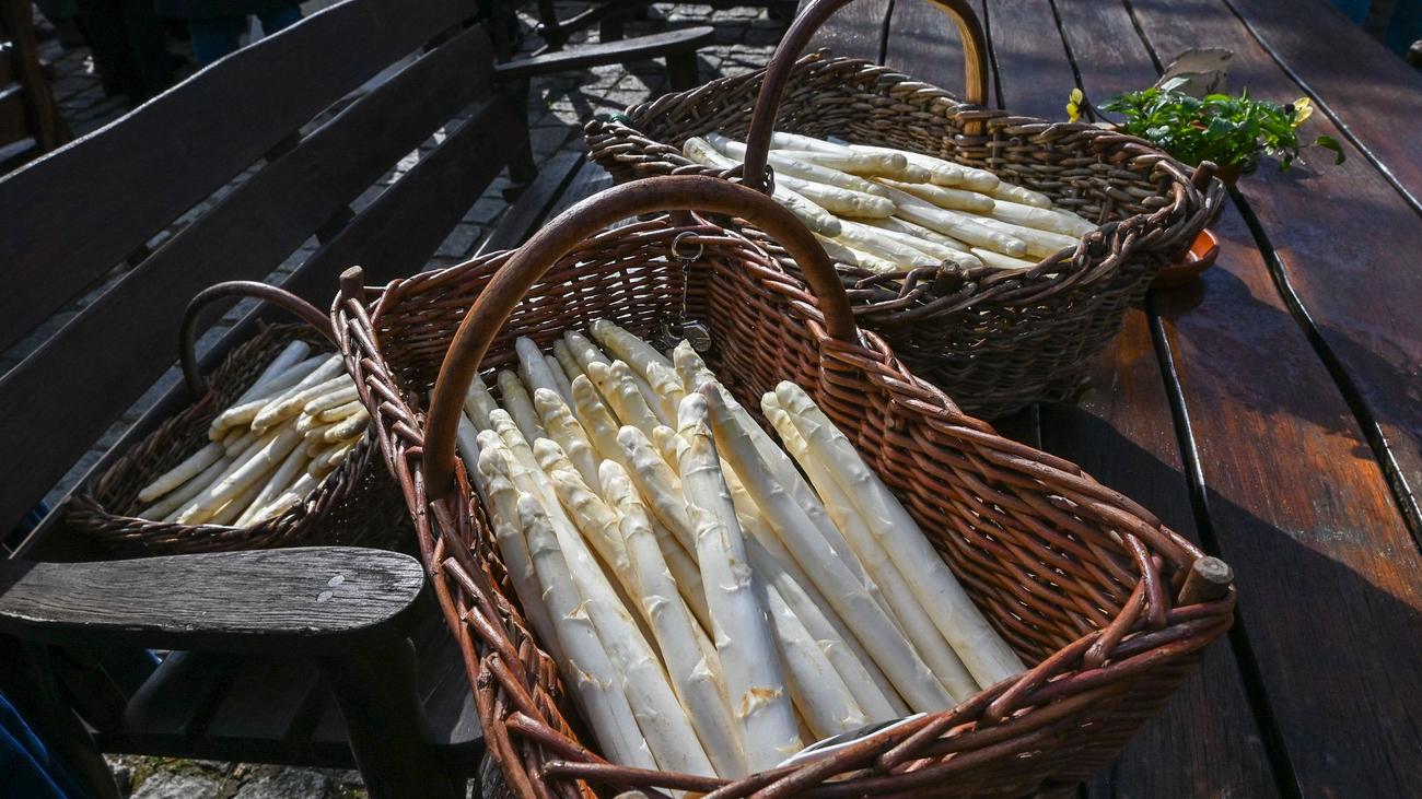 Spargelsaison eröffnet: Es ist Spargelzeit – Ernte, Preise und Besonderheiten