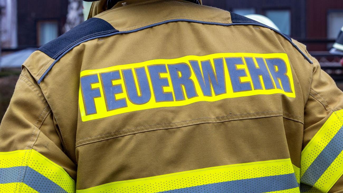 Brand im Wald: Forstmaschine fängt Feuer: 200.000 Euro Schaden
