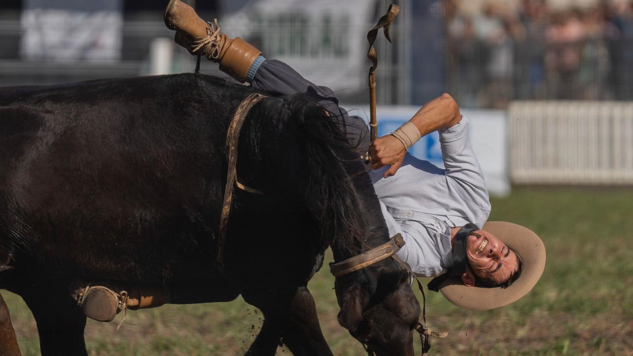 Fotografie: Bilder des Tages