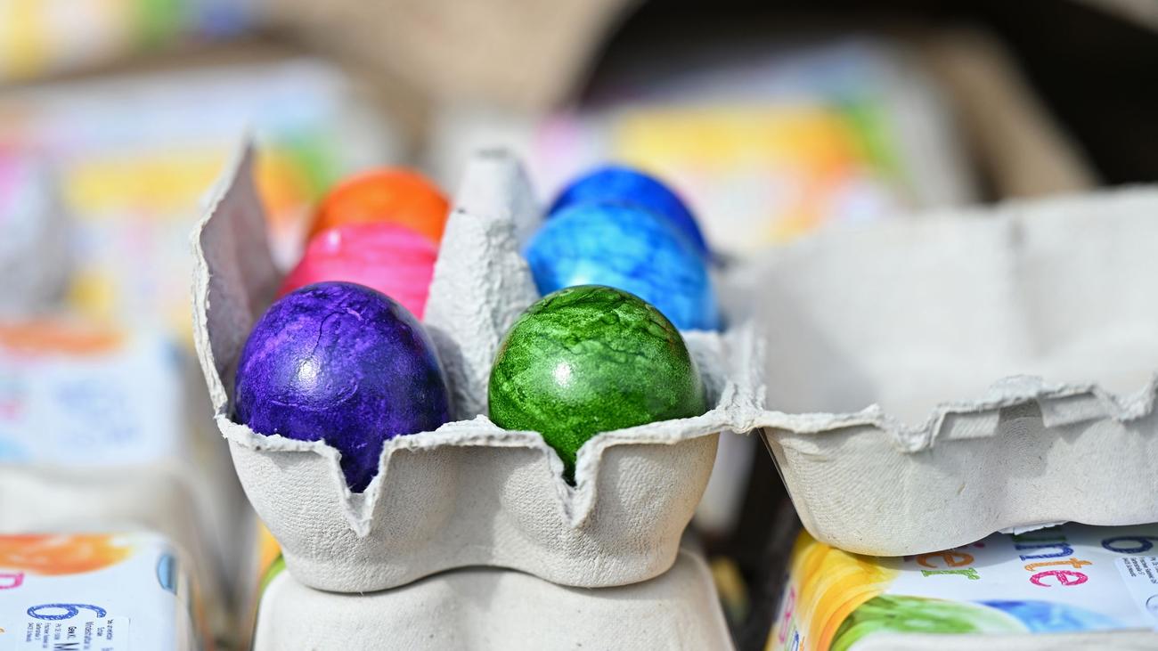 Leere Regale: Engpass vor Ostern: Gibt es genügend Eier für alle?