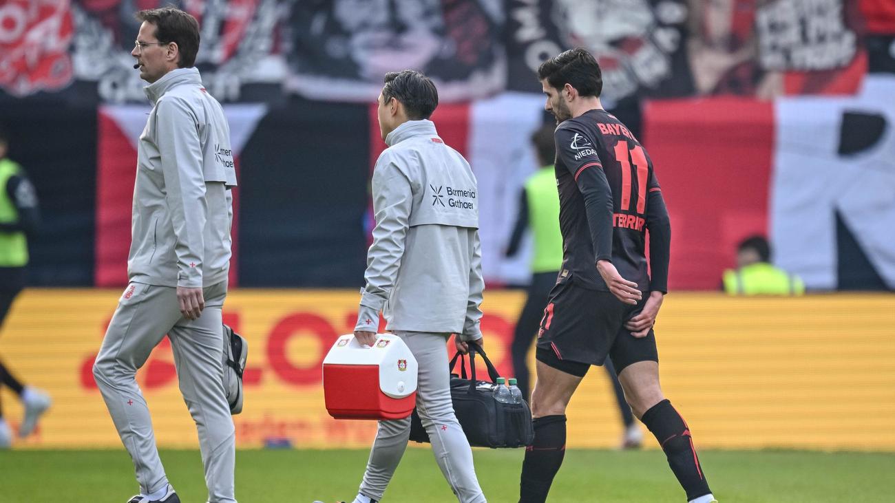 Fußball-Bundesliga: Leverkusen muss Saison ohne Terrier beenden