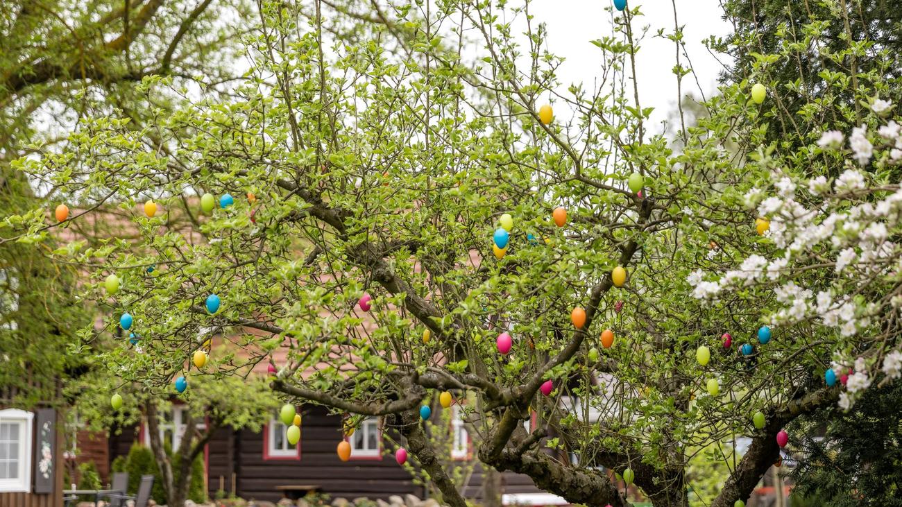 DWD-Vorhersage: Wechselhaftes Osterwetter in Rheinland-Pfalz und Saarland